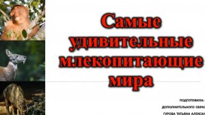 Видеоурок на тему: «Самые удивительные млекопитающие мира».