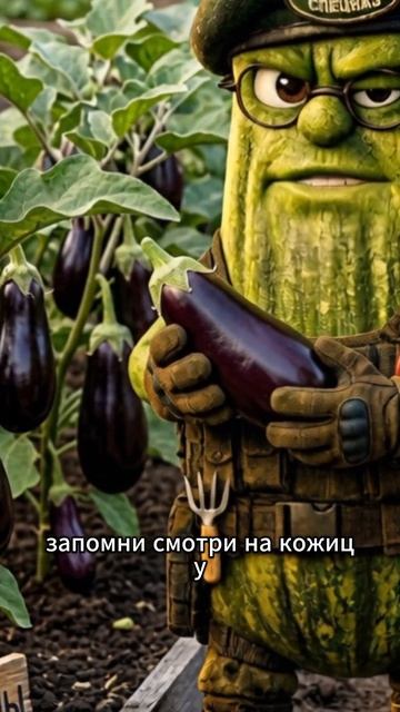 🍆 Не смей срывать баклажаны, пока не проверишь это!