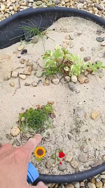 пан лукьянский 🍀 и его святошки 🤣