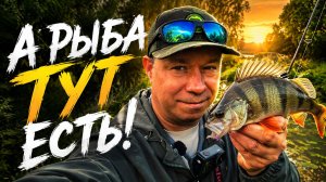 3 ГОДА СЮДА НЕ ЗАХОДИЛ — а сегодня речка снова дала окуня | Мормышинг на забытой реке