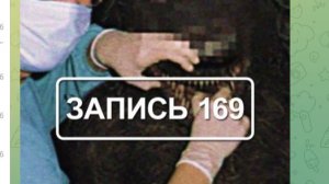 КАНАЛОТВАРЬ #4.  «Записи об аномалиях от К.О.Н.Т.У.Р. « ЗАПИСЬ № 169.