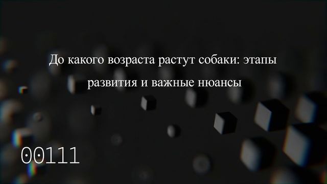 До какого возраста растут собаки: этапы развития и важные нюансы