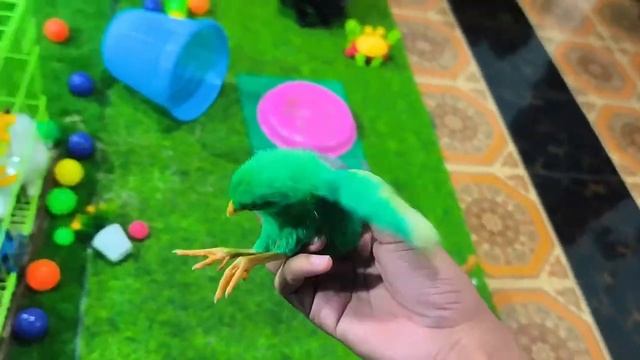 Яркая сказка для малышей