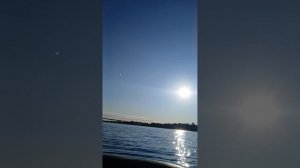 1000025551.mp4Рыбалка сетью.Волга.16.08.2026г.