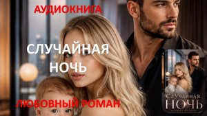 Аудиокнига. Случайная ночь