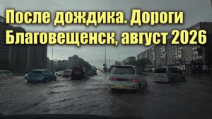 После дождика. Благовещенск, август 2026