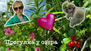 Отдых у телевизора или прогулка в любимом месте? / 🌺 Красивые пейзажи / 💕Прогулка у озера /