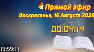 Прямой эфир, священник Константин Мальцев