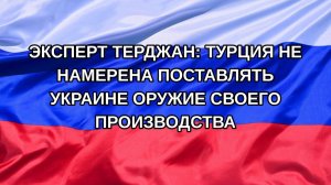 |Н. РФ| Эксперт Терджан: Турция не намерена поставлять Украине оружие своего производства