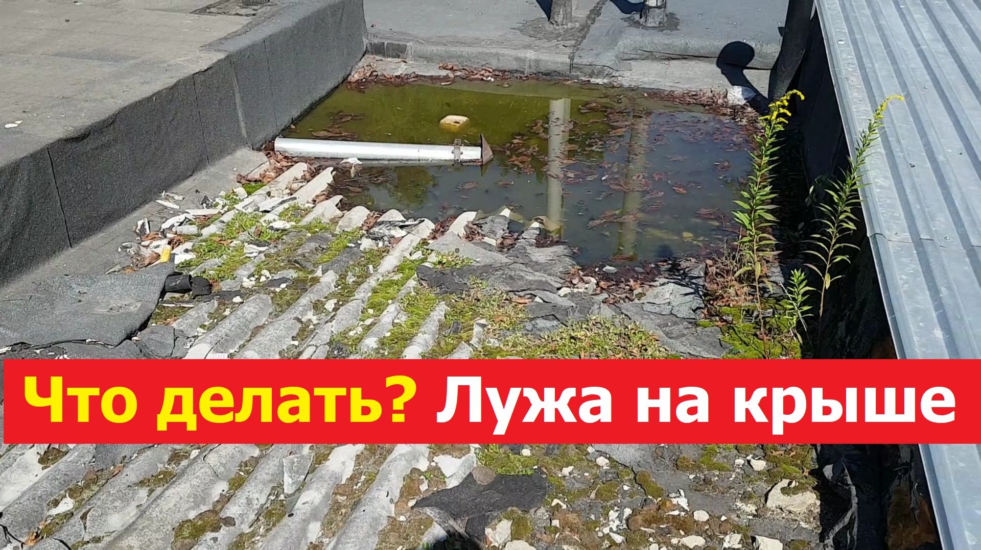 2026081 Что делать Лужа на крыше гаража запруда течь плита керамзито бетон арматура кровля ремонт