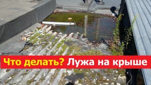 2026081 Что делать Лужа на крыше гаража запруда течь плита керамзито бетон арматура кровля ремонт