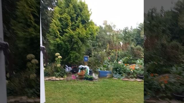 20260815 Утро из окошечка