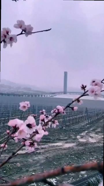 Ялта