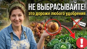 Гнилые ЯБЛОКИ под яблоней, это ПРИГОВОР для сада | ВОТ куда их нужно нести