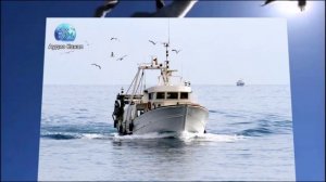 Появились подробности нападения корабля-призрака на рыбаков в Тихом океане