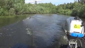 ПРОВЕРЯЕМ СЕТКИ! СДЕЛАЛИ ПОЛИВКУ КЛУБНИКИ !
