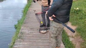 Утро на водоёме