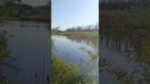#Природнаягармония#природа#natureofharmony#nature#Тревел_для_всех#рыбалка