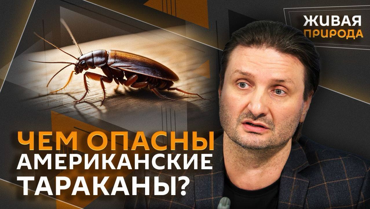 Эдгард Запашный. Акула и ураганы, американские тараканы, гипоаллергенные собаки и переходы для жаб
