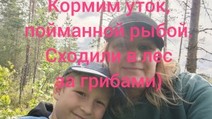 Кормим уток,пойманной рыбой.Утки рыбаки))Сходили в лес за грибами 😊
