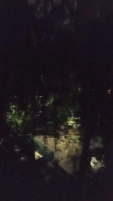 Подмосковье. Ночь. VID_20260808_003856