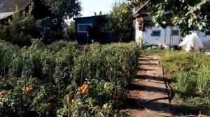 Мы все на чемоданах / проводили детей / Арбуз 🍉
