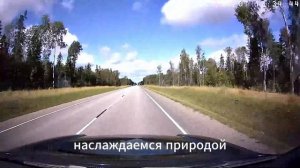Едем в Питер