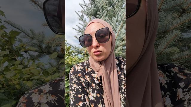 Управление командой с помощью ассертивности