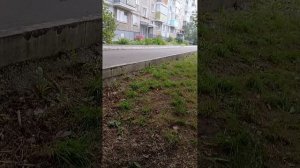 выложить забыл