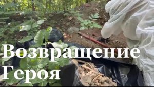 На передовой обнаружили останки советского солдата/ События недели