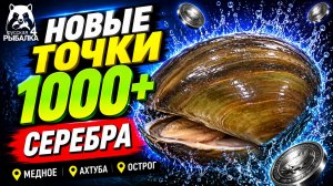 🤑 ТОП-3 ТОЧКИ ФАРМА и РАЗДАЧИ ТРОФОВ РР4 (16.08)! СВОДКА по ВОДОЕМАМ! МЕДНОЕ • ОСТРОГ • АХТУБА
