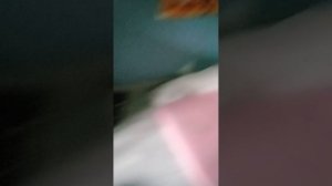играем в футбол ⚽