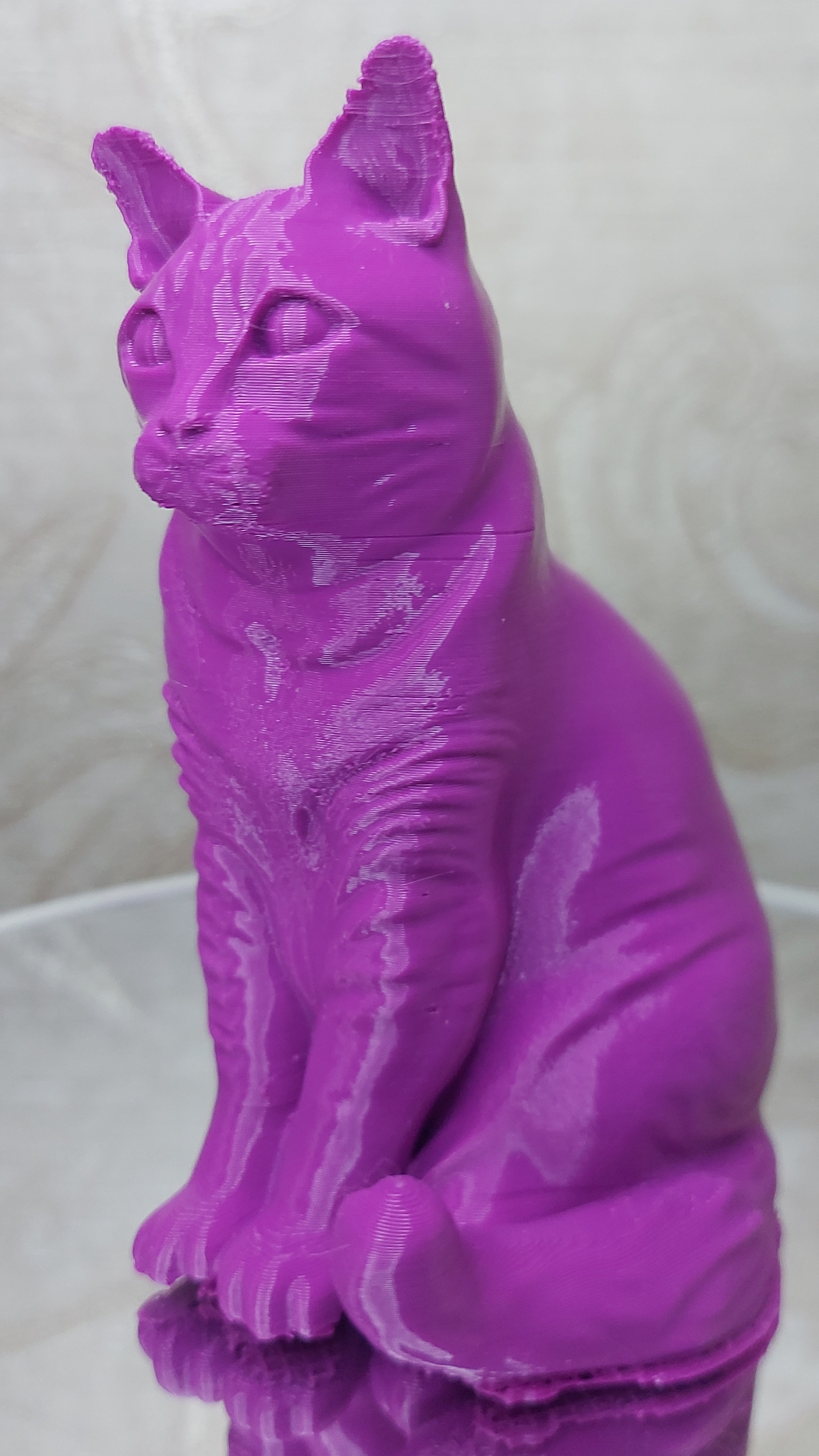 Фиолетовый PETG