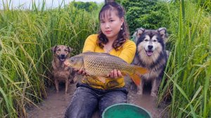 Наловила рыбы и насобирала устриц на рисовом поле. Рыбу пожарила. Жизнь во Вьетнаме