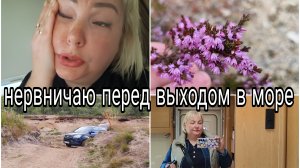 15-08-2026 Морскую прогулку перенесли * Я нашла поле вереска * Скелет кита и немного истории