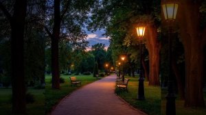 В летнем парке