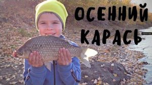 Рыбалка на донки на карася  осенью!