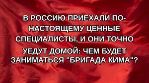 В Россию приехали по-настоящему ценные специалисты, и они точно уедут домой: Чем будет заниматься
