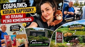 КАК ВЫЖИВАЮТ РУССКОЯЗЫЧНЫЕ НА ЗАГНИВАЮЩЕМ ЗАПАДЕ собрались копать картошку но планы резко изменились