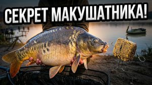 Из Карпятника в Макушатники рыблка на карпа на дикаре