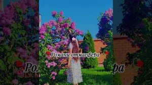 новая цыганская песни ашунэ 🪷 пэ зорэстэ талант видео не трогать ся запэндо