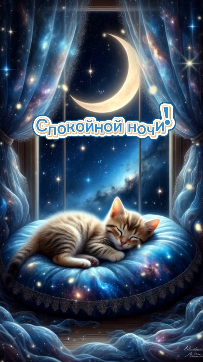 Спокойной ночи!
