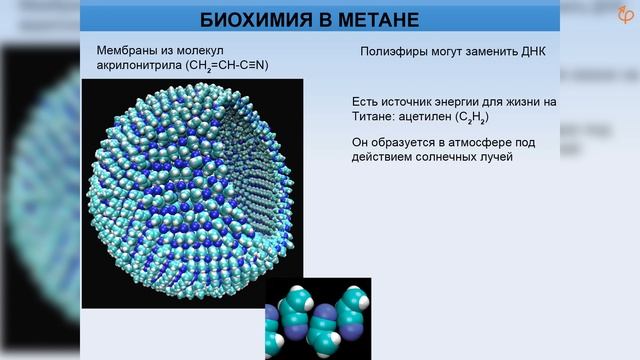 Альтернативная биохимия. Михаил Никитин