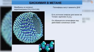 Альтернативная биохимия. Михаил Никитин