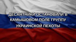 Десантники остановили в камышовом поле группу украинской пехоты