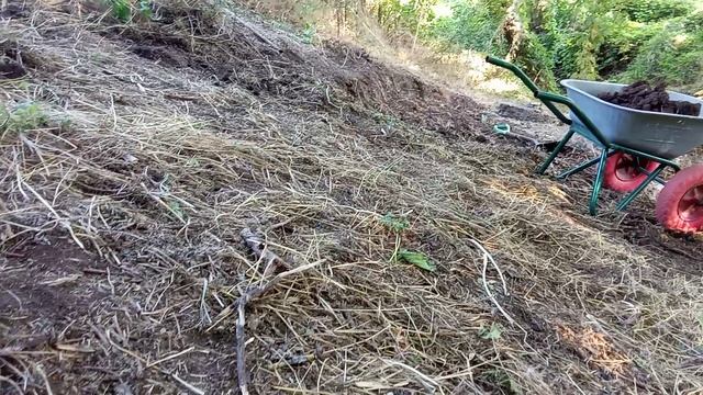 VID_20260815_172718