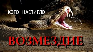 КОГО   НАСТИГЛО   ВОЗМЕЗДИЕ 🪃