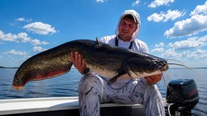 Удочки в дугу! Сомы как брёвна — жор на море без остановки