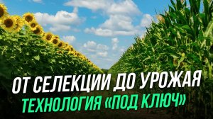 Как и что сеять, чтобы заработать? | ГК Агротек | Всероссийский день поля 2026
