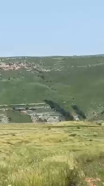 Нива